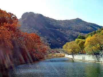 新澳天天开奖资料大全旅游团，蓝天观赏鸽论坛